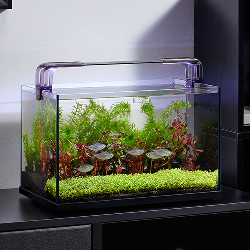 Marine Aquarium Kit - sttl Cherlam Factory Wholesale 20 Gallon