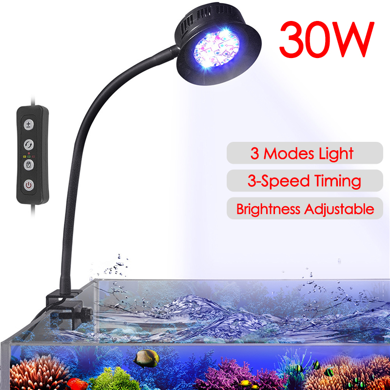 Aquarium Marine Fishes - 30W Aquarium Fish Tank Sea Water