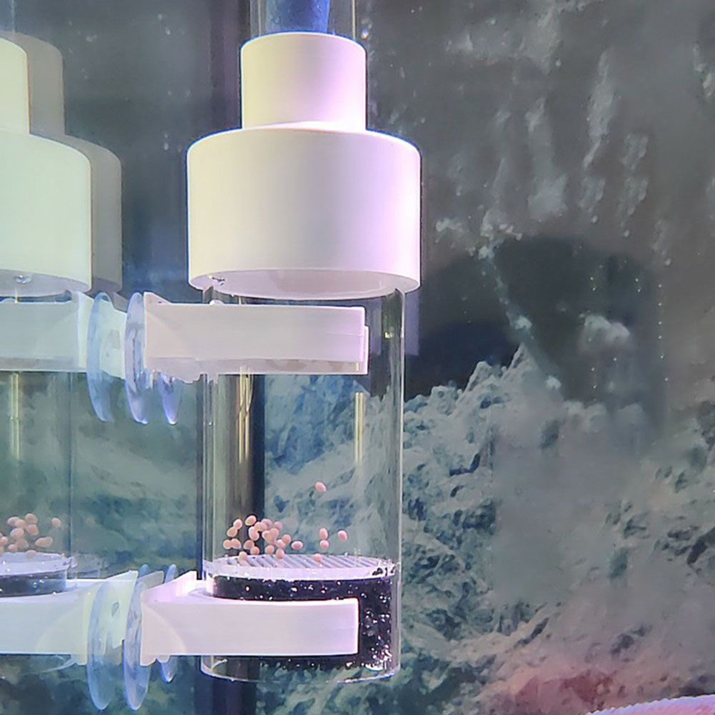 40mm Tumbler Incubator Fish Ha - Marine Aquarium Kit ulasan dan harga