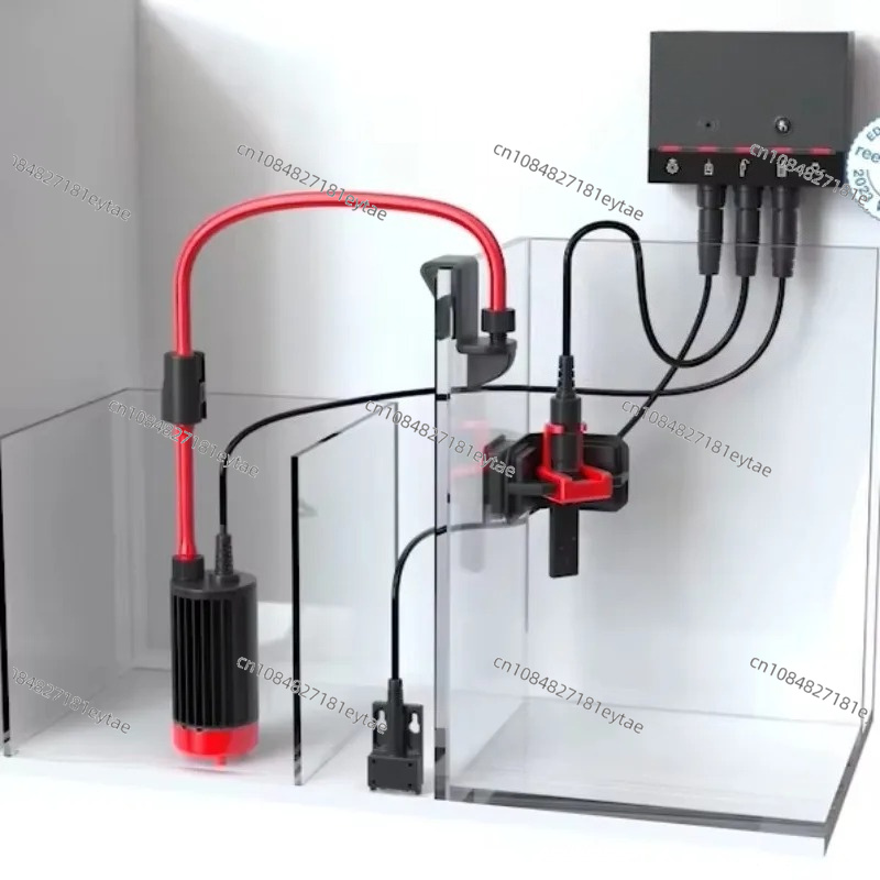 Intelligent Reliable Aquarium  - Aquarium Marine Fishes ulasan dan harga