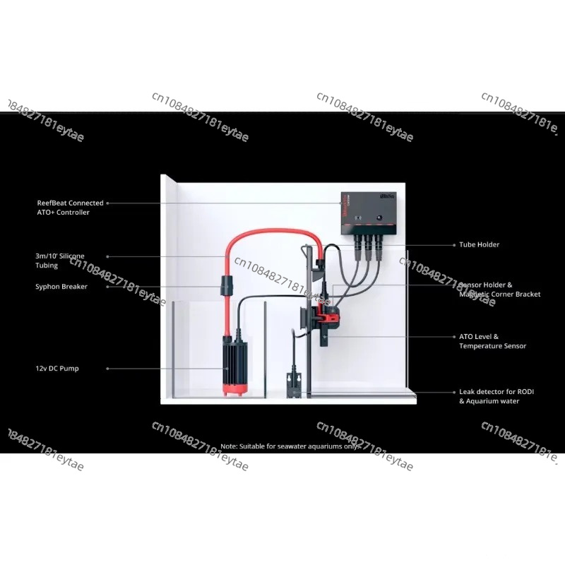 Intelligent Reliable Aquarium  - Aquarium Marine Fishes ulasan dan harga