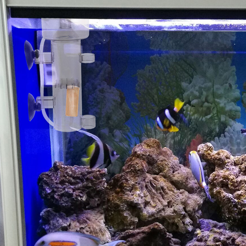 Protein Skimmer Acrylic Aquari - Aquarium Marine Fishes ulasan dan harga