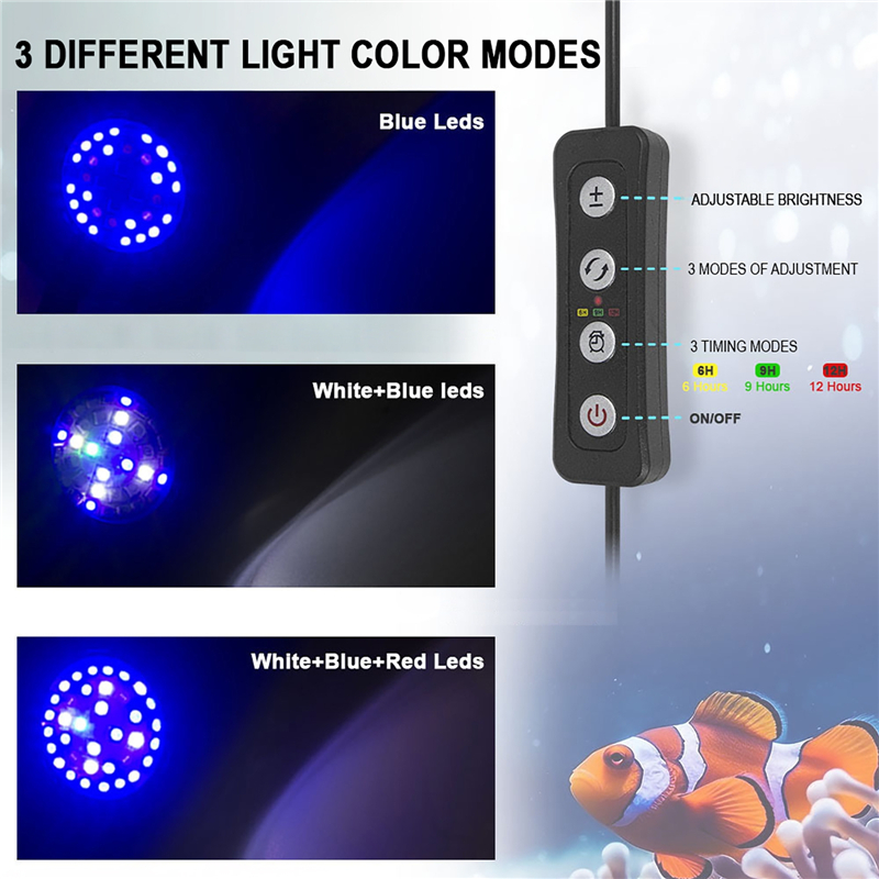 30W Aquarium Fish Tank Sea Wat - Aquarium Marine Fishes ulasan dan harga