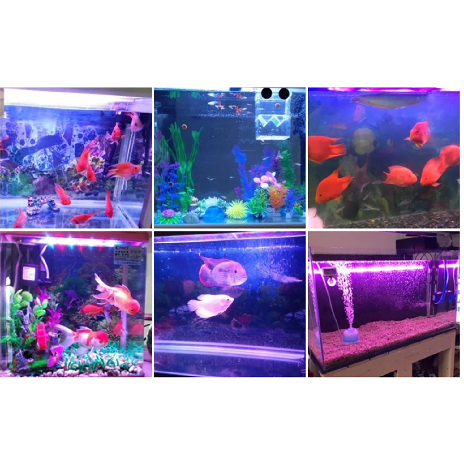 50W 60W 70W 100W RGB 26-28V Hi - Marine Aquarium Uv Light ulasan dan harga